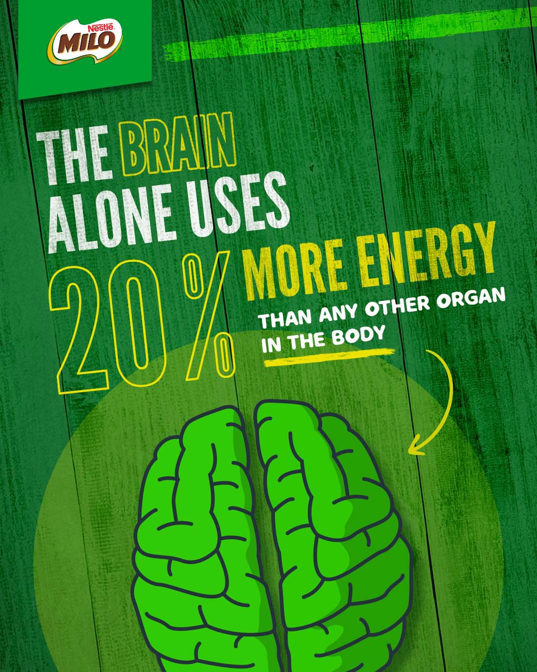 infographic_supports_energy_release.jpg
