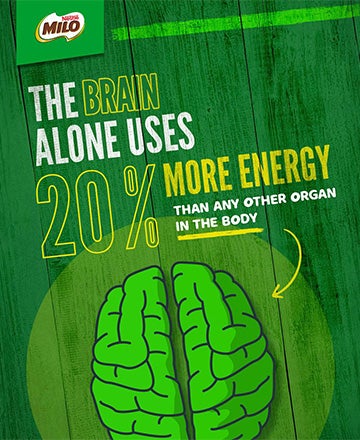 infographic_supports_energy_release_360_x_440.jpg